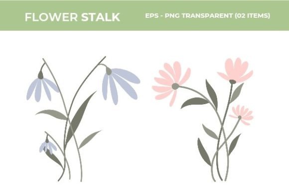 Download Beautiful Flower Illustrations - Illustrations Collection